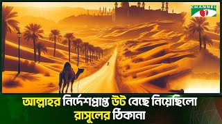 আল্লাহর নির্দেশপ্রাপ্ত উট বেছে নিয়েছিলো রাসূলের ঠিকানা