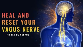 174 Hz vagus nerve stimulation music | Alpha Waves Reset Vagus Nerve Release Trauma From Your Body