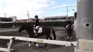 日獣大 馬術部 カドリール 一日目