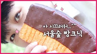 핵꿀잼 보장. 서울숲에서 시끄럽게 빵크닉!ㅋㅋㅋㅋ [빵의정석\u0026보난자 베이커리] | Seoul Forest Bread picnic