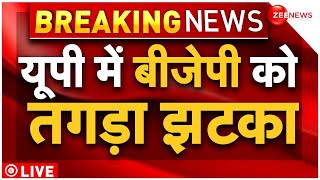 UP Election Result 2024 Live Updates : राहुल-अखिलेश ने मोदी-योगी को दिया झटका | Lok Sabha Election