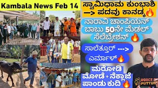 Kambala News February 14 | Padavu Kanadka New Entry | Naravi Champion Babu 50th medal | Marodi Kudi