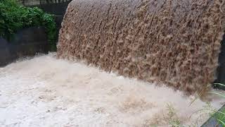 大雨で増水した安野川、その２！