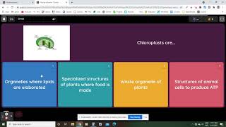 What Is Quizizz An Introduction