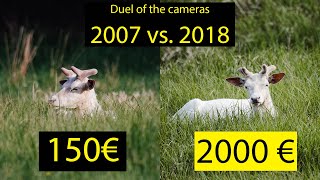 Canon 40D vs. Sony a7 III - Can a 10 year older camera hold up?