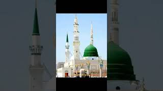 جو بھی سرکار  ﷺ کی ہے آن پہ قربان گیا