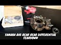 Yamaha Big Bear Rear Differential Teardown