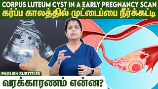Corpus Luteum Cyst In Pregnancy Scan Report-கர்ப்ப காலத்தில் முட்டைப்பை நீர்க்கட்டி வரக்காரணம் என்ன?