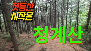 등산 초보 첫번째 산 청계산 등산코스(원터골~매봉~개나리능선)