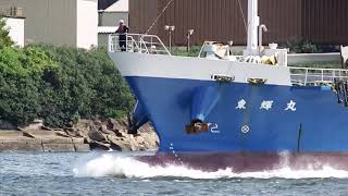 青い内航一般貨物船　東輝丸　航行　general cargo ship