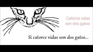 14 vidas son dos gatos con letra