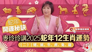 蛇年開運秘訣｜麥玲玲講2025蛇年12生肖運勢（二）｜豬、鼠、牛、虎、兔、龍