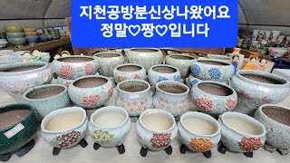 3월22일♡봉봉이네화분♡수제공방분♡지천공방분 신상화분 정말 짱 입니다~5만이상택배무료