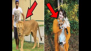 Top 5 Craziest Pets People Actually Own