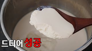 드디어 성공! 두유요거트 만들기! 무설탕두유와 유산균캡슐로 비건 요거트 만들기