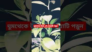 ঘুম থেকে জাগ্রত অযু ছাড়া এই দোয়াটি পাঠ করুন #status