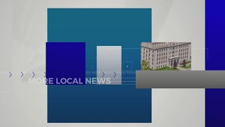 Binghamton artist exhibits work in Roberson Museum