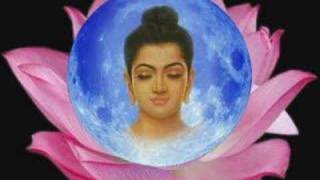 THE ENLIGHTENED ONE:  Siddhartha Gautama Buddha