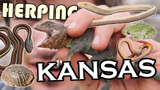 HERPING Kansas Episode 1: The Gypsum Hills