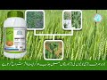 solex weedicides weedicides in punjab solex cutout solex double clean solex sulfosulfurone