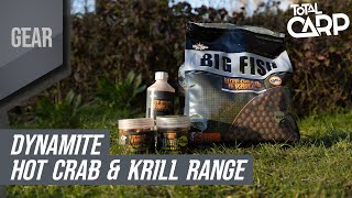 NEW bait from Dynamite!