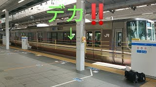 【デカすぎ‼️】JR西日本大阪駅ホームドア\u0026ホーム柵