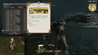 FFXIV 黒 天動零式4層木人 身内用