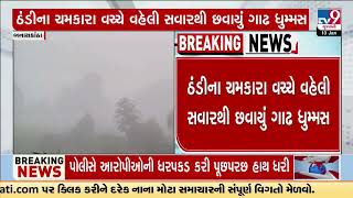 Visibility reduces due to dense fog in Banaskantha | Cold Wave | Winter 2025 | Gujarat | TV9Gujarati