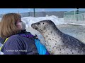 【紋別アザラシシーパラダイス】日和ちゃんの○○は思わず笑っちゃいます。seals sea paradise. agu＆hiyori