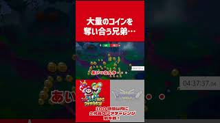 【マリオ新作】同じ財布に入るので、ルイージがサボってるだけ・・・？【マリオ＆ルイージRPGブラザーシップ！】#マリオアンドルイージrpg #ドラゴンクエスト