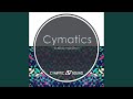Enlightenment (Original Mix)
