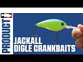 Jackall Digle Crankbait with Jared Lintner