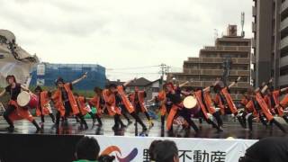 2015年みちのくよさこい 福島県 鏡踊爛會