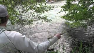 Simms Fly Fishing Videos: Dry Fly Fly Fishing for Trout with Stoneflies and Salmonflies