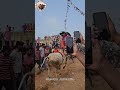 jallikattu trend viralshort song tamil telugu trendingshorts janasena jsp love