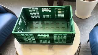 Plastic Foldable mesh crate for fruit and vegetable