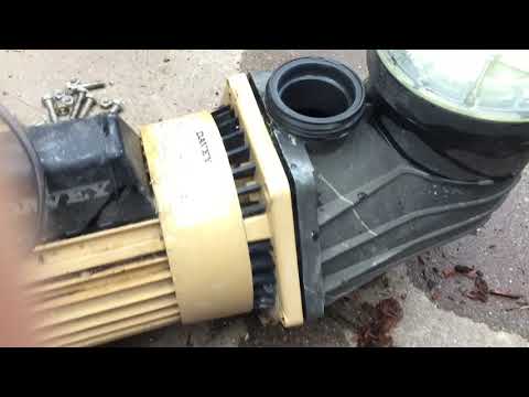 How to pull apart a Swimming pool Pump. What's Inside? I show&explain Davey casing housing change How to pull apart a Swimming pool Pump. What's Inside? I show&explain Davey casing housing change