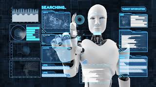Boston Software Systems Overview