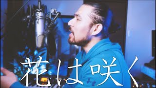 花は咲く / 花は咲くプロジェクト (covered by 對馬健太郎)