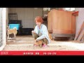 ［柴犬専門店　柴屋］柴犬　じんべいと兄ちゃん達　山口県山口市大内