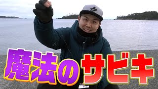 小魚から大物まで狙える!! 魔法のサビキを発見!!