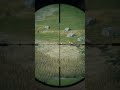 Long Range 270+ meter Shot On Bighorn Sheep 🥉🔫🐑 | theHunter: Call Of The Wild