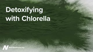 Detoxifying with Chlorella