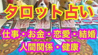 タロット占い❗️仕事、お金、恋愛、結婚、人間関係、健康運をまるっと鑑定‼️byキャメレオン竹田