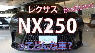 レクサス NX250、18インチアルミホイールがかっこいい！