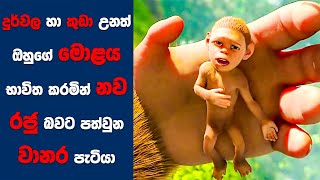 Animal Kingdom සිංහල Movie Review | Ending Explained Sinhala | Sinhala Movie Review