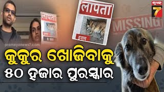 Reward For Missing Dog | କୁକୁର ଖୋଜିବାକୁ ୫୦ ହଜାର ପୁରସ୍କାର ,'X'ରେ ଦମ୍ପତ୍ତିଙ୍କ ଭିଡିଓ ଭାଇରାଲ୍..