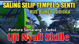 BUS BUMEL VS DAIHATSU SIGRA.!! ( Jalur Pantura Semarang - Kudus )