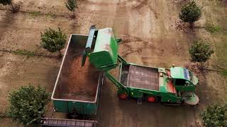 In Action:  Pape Machinery Monchiero Hazelnut Harvesting Equipment