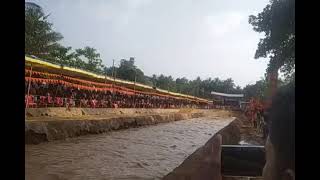 Balla manja kambala